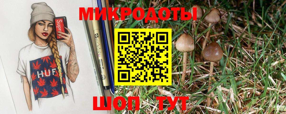 Галлюциногенные грибы Psilocybine cubensis  Вход с VPN  Электрогорск 